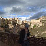 Profesor de matemáticas, física y repaso general